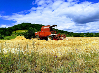 OPTIBELT AGRO POWER és DTE Grass Garden ékszíja az eredetivel megegyező minőségben!