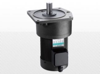 G14V típus 750 W 12,48 - 63,36 Nm
